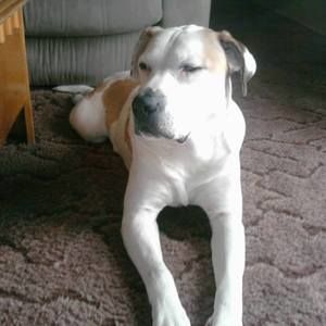 Meet your Posher, Terri